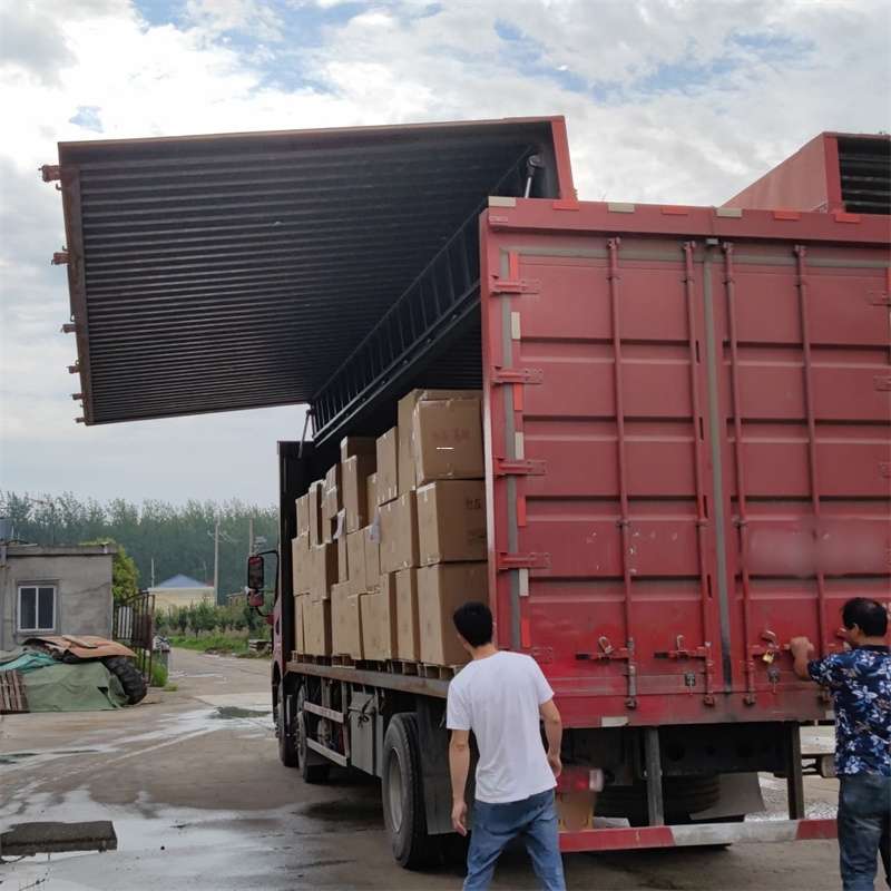 定海区扎囊县：物流专线的高效货运之旅